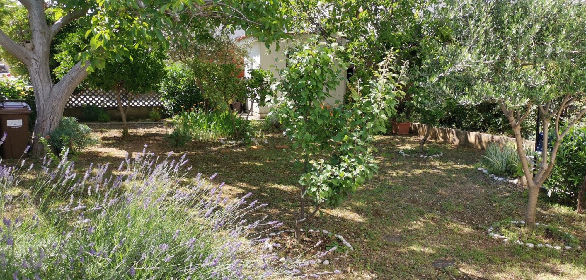 Apartmani Sersic Baska  Exterior photo